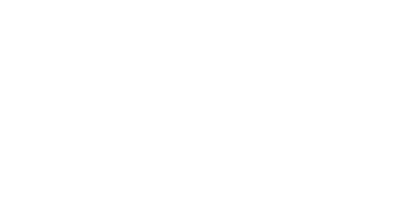 Drawing of aerial view of the building including surrounding parcel. 