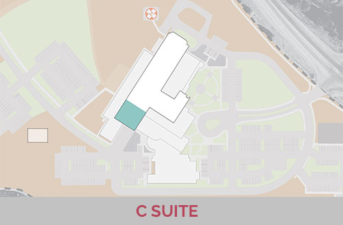 C-Suite Map