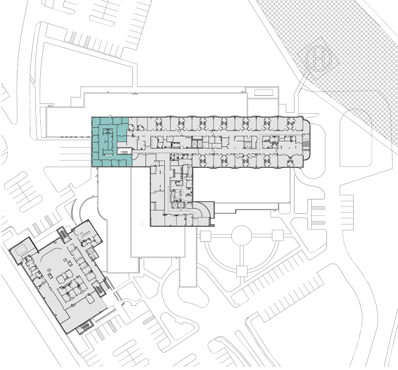 C Suite Website Plan 20221031