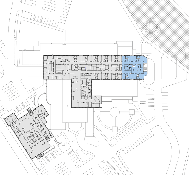 Observation Unit Website Plan 20221101